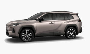 Avant-Garde Bronze Metallic cbc0ba