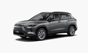 Gray Metallic and Black