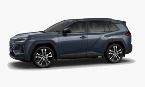 Massive Gray​ 27313b